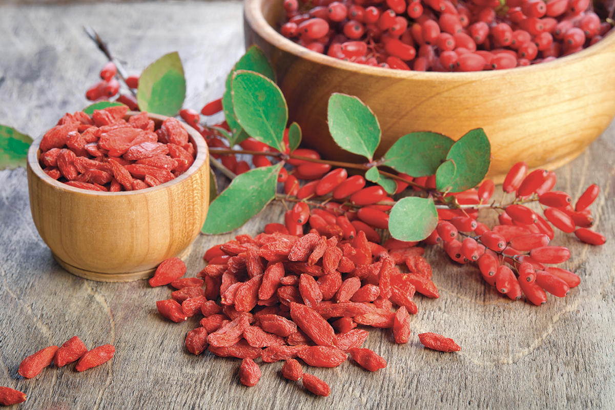 Bacche di goji per un miglior profilo lipidico 