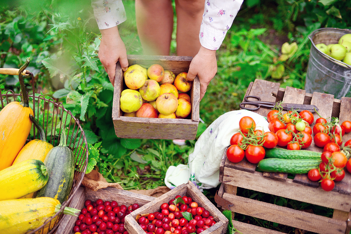 Veggie salva la vita, solo se è di qualità