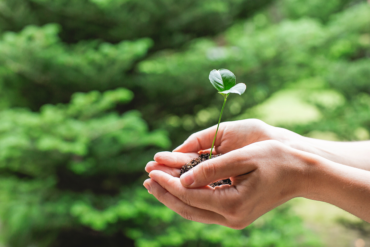 Il meglio della natura, il meglio di noi