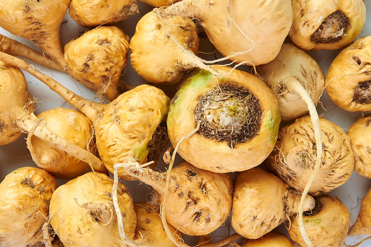 Maca, una radice per la pratica sportiva