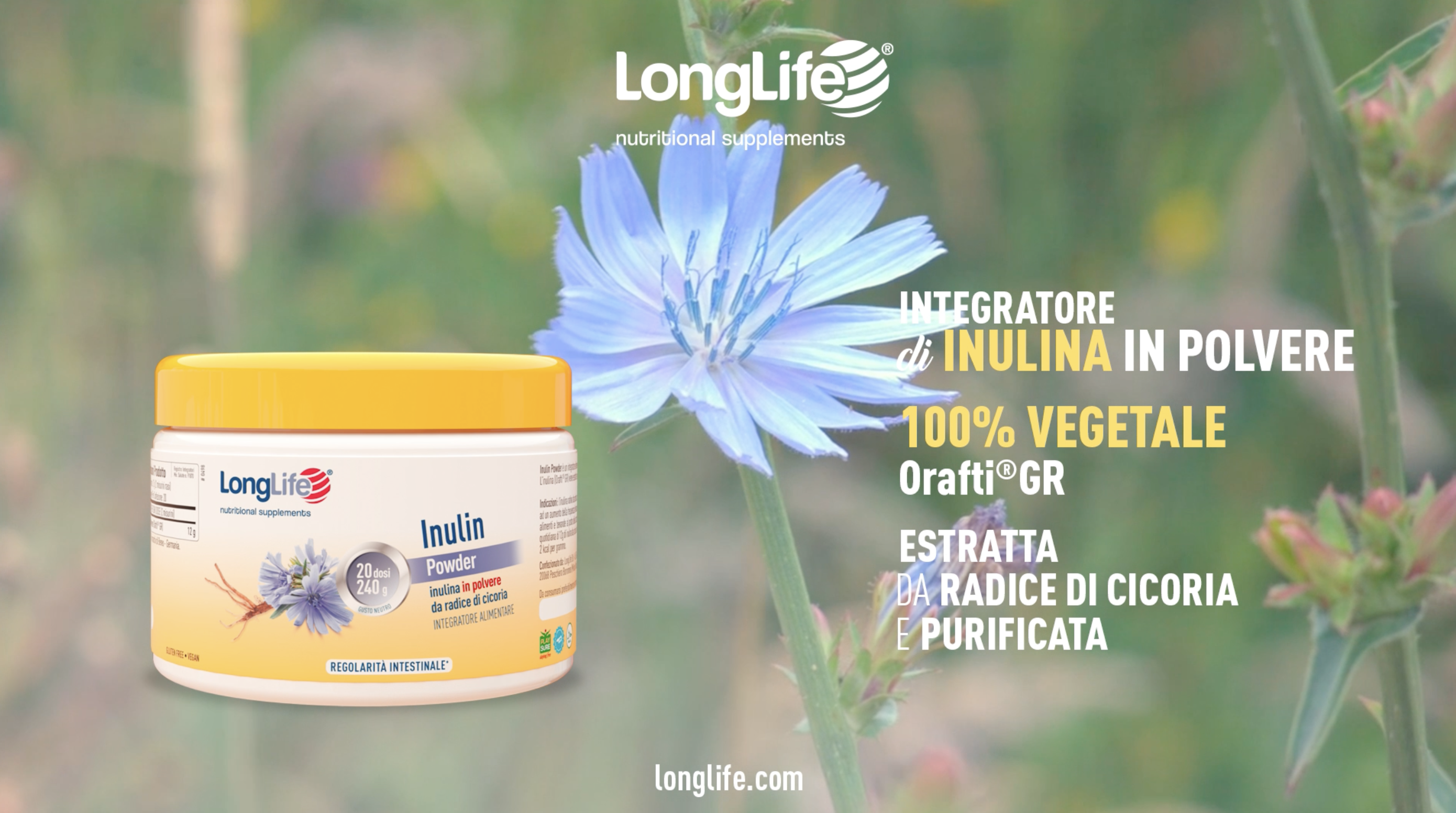 Inulin Powder